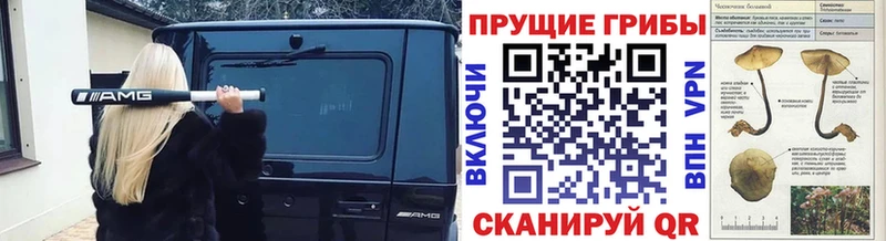 Псилоцибиновые грибы мухоморы дарнет шоп Зверево